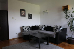 Lucic apartments